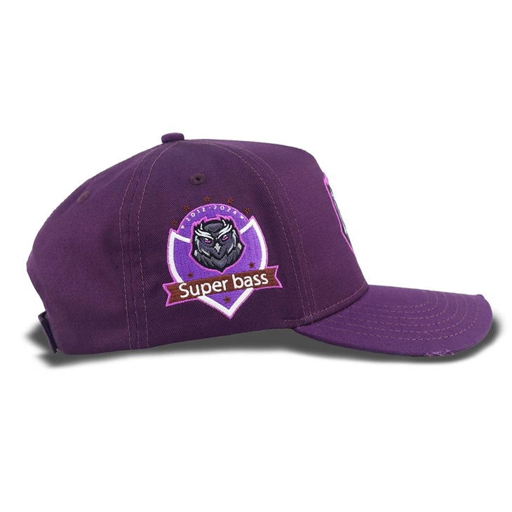 Purple Owl Baseball Cap